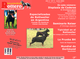 Mundo Rottero Nº4 - Rottweiler vom Kleinen Burg