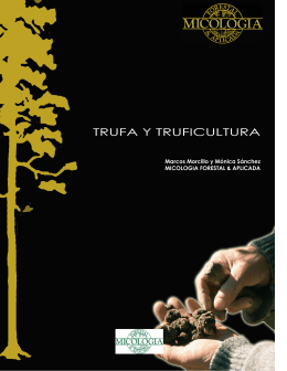 Manual de Truficultura aquí - Micología Forestal Aplicada
