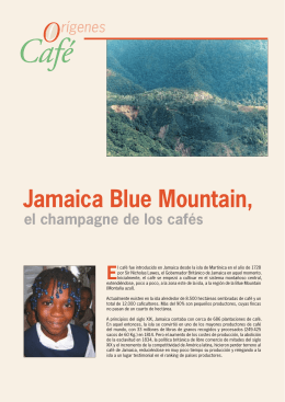 Orígenes del Café: Jamaica Blue Mountain