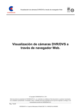Visualización de cámaras DVR-DVS a través de navegador Web