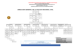 DIRECCION GENERAL DE LA POLICIA NACIONAL CIVIL