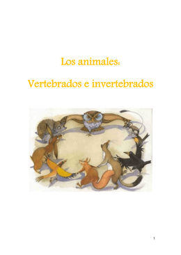 Los animales: Vertebrados e invertebrados