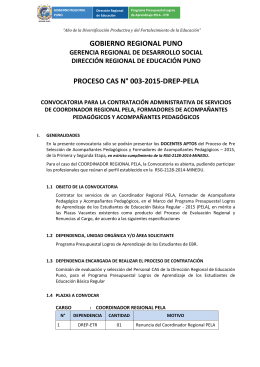 GOBIERNO REGIONAL PUNO PROCESO CAS N° 003-2015