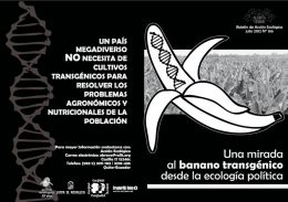 banano GM - La Red Por una América Latina Libre de