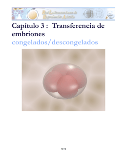 Capítulo 3 : Transferencia de embriones congelados/descongelados