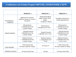 Condiciones con Fondos Propios MIPYME, FOMI/FOMIR Y KFW