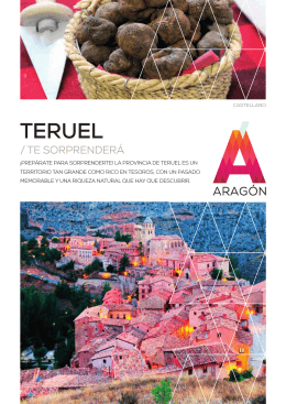 Descargar - Turismo de Aragón