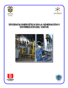 Eficiencia Energética en Generación y Distribución de Vapor