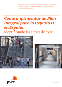 Cómo implementar un Plan Integral para la Hepatitis C en España