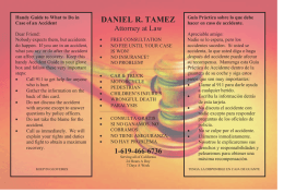 daniel r. tamez - Traffic Accident Law Center, San Diego Personal