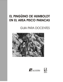 Pingüino de Humboldt - Guía para docentes
