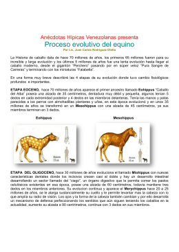 Proceso evolutivo del equino - Anécdotas Hípicas Venezolanas