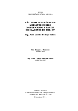 PDF (Tesis) - Repositorio Digital Institucional del Centro Atómico