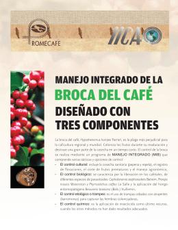BROCA DEL CAFÉ - promecafe.org