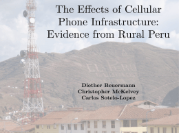 The Effects of Cellular Phone Infrastructure: Evidence from Rural Peru
