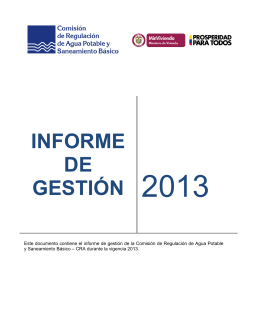 Descargar el informe Informe de Gestión 2013Tipo de archivo