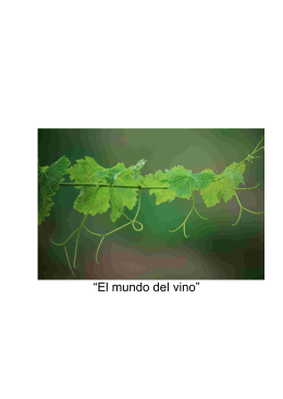 “El mundo del vino”
