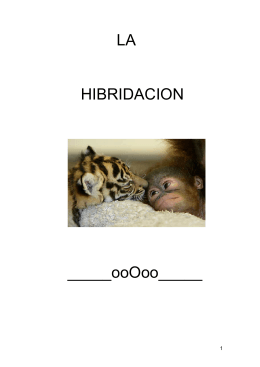 Hibridación - Asociación Ornitológica El Alamillo
