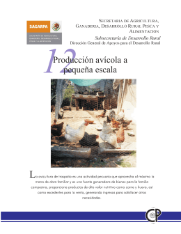 Producción Avícola