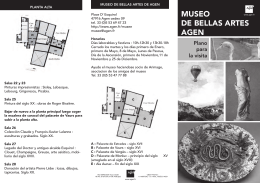 MUSEO DE BELLAS ARTES AGEN