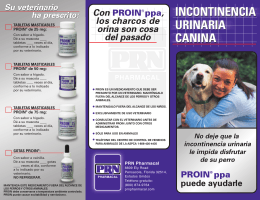 incontinencia urinaria canina incontinencia urinaria canina