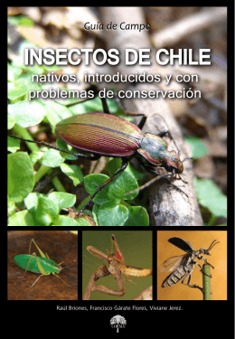 Insectos de Chile - Corporación Chilena de la Madera