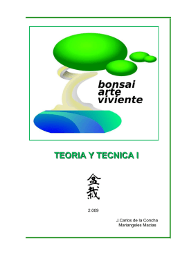 El Bonsai, arte viviente, teoria y