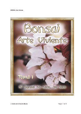 Bonsai, Arte Viviente I