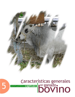 Características generales del ganado bovino - FMVZ-UNAM