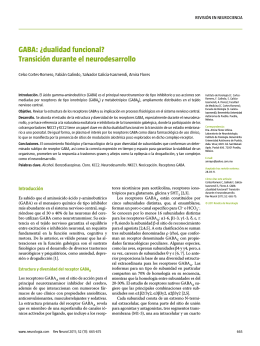 GABA: ¿dualidad funcional? Transición durante el neurodesarrollo
