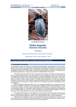 Orden Isopoda: - Sociedad Entomológica Aragonesa