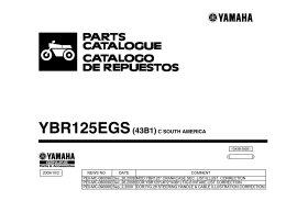 YBR125EGS(43B1)C SOUTH AMERICA