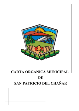 carta organica municipal de san patricio del chañar