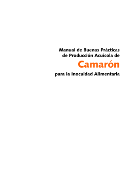 Manual de Buenas Prácticas de Producción Acuícola de Camarón