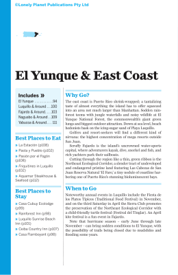 El Yunque & East Coast