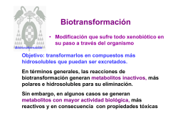 Biotransformación