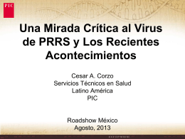 Una mirada crítica al virus de PRRS y los Recientes Acontecimientos