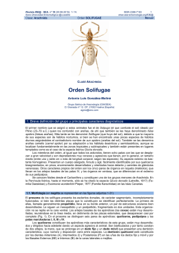Orden Solifugae - Sociedad Entomológica Aragonesa