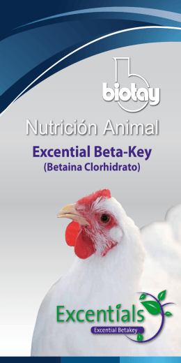 Excential Beta-Key