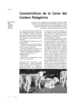 Características de la Carne del Cordero Patagónico