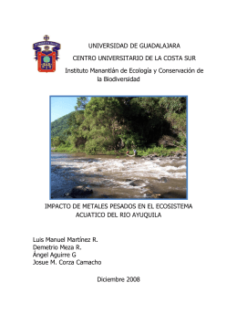 Comisión de Cuenca del Río Ayuquila – Armería