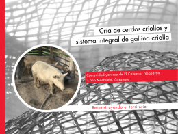 Cría de cerdos criollos y sistema integral de gallina criolla