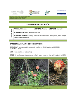 Amanita muscaria - El Parque Nacional Izta-Popo