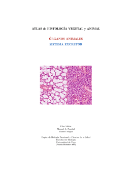 Sistema sistema excretor - Atlas de Histología Vegetal y Animal