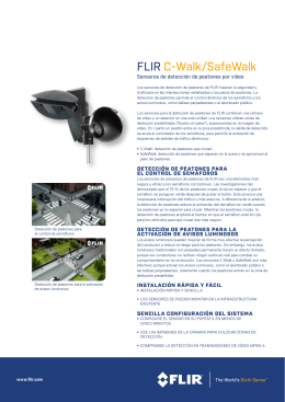 FLIR C-Walk/SafeWalk