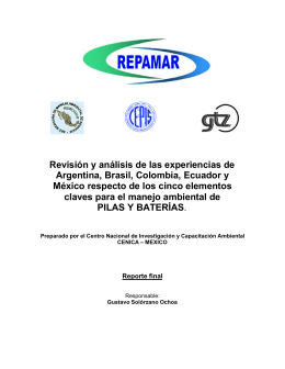 Revisión y análisis de las experiencias de Argentina, Brasil