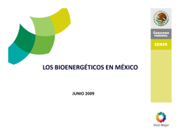 “Los bioenergéticos en México”, Mtro. Roberto de la Maza, SENER