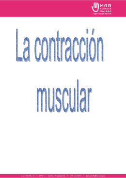 contraccion-muscular - Clinica de Fisioterapia en Santiago de