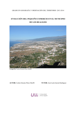 Evolucion del pequeno comercio en el municipio de Los Realejos