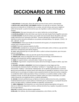 DICCIONARIO DE TIRO